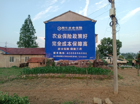 会东墙体广告的优劣势你知道吗？