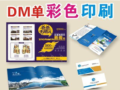 会东单页印刷,色彩搭配简单。